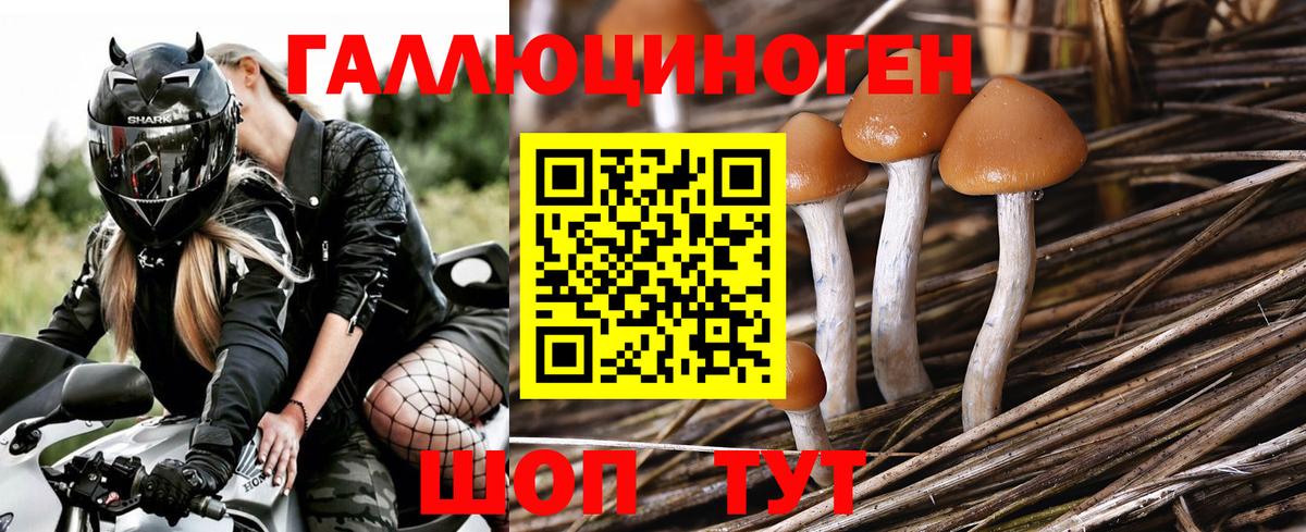 Полысаево  дарнет шоп  Вход с VPN  Псилоцибиновые грибы ЛСД 
