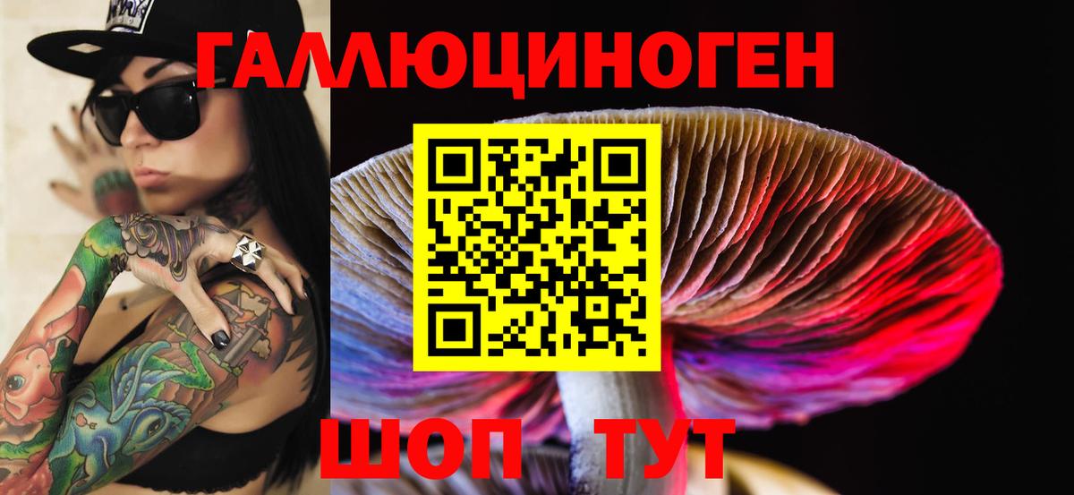 Галлюциногенные грибы GOLDEN TEACHER Полысаево